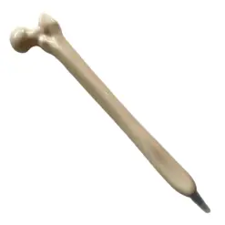 bone pen hip