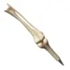bone pen arm
