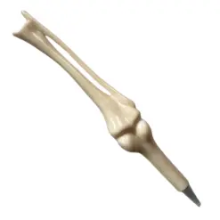 bone pen arm